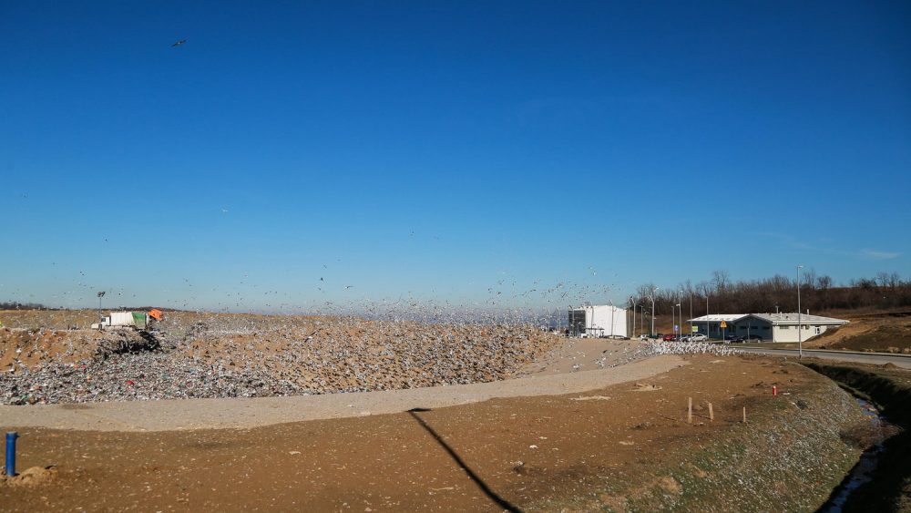 The new sanitary landfill started operations in August 2nd, 2021. 
Municipal waste collected by PUC Gradska čistoća from the territory of 15 municipalities of Belgrade is disposed of at the new landfill in compliance with the highest waste management standards of the European Union and Serbia. On average, 500 to 600 trucks that is 1,500 tons of municipal waste arrive at the Vinča landfill. Construction of new sanitary cells is ongoing.