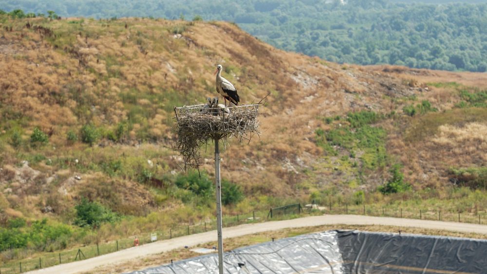 The new sanitary landfill started operations in August 2nd, 2021.  Municipal waste collected by PUC Gradska čistoća from the territory of 15 municipalities of Belgrade is disposed of at the new landfill in compliance with the highest waste management standards of the European Union and Serbia. On average, 500 to 600 trucks that is 1,500 tons of municipal waste arrive at the Vinča landfill. Construction of new sanitary cells is ongoing.