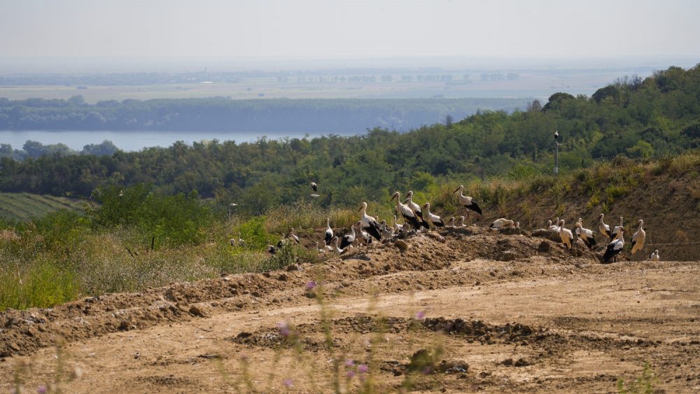 Sanitarna deponija - Odlaganje komunalnog otpada na novu sanitarnu deponiju je počelo 2. avgusta 2021. Komunalni otpad koji sakuplja JKP Gradska čistoća sa teritorije 15 opština Beograda se odlaže na novoj deponiji u skladu sa najvišim standardima iz oblasti upravljanja otpadom Evropske unije i Srbije . Na deponiju u Vinči u proseku dnevno stigne od 500 do 600 kamiona tj. 1500 tona komunalnog otpada. U toku je izgradnja novih ćelija.