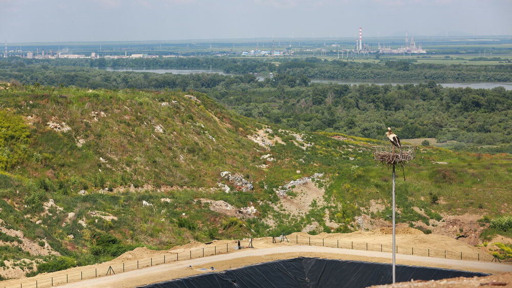 Construction site works - Uphil Platform and Nest - 4 June 2021