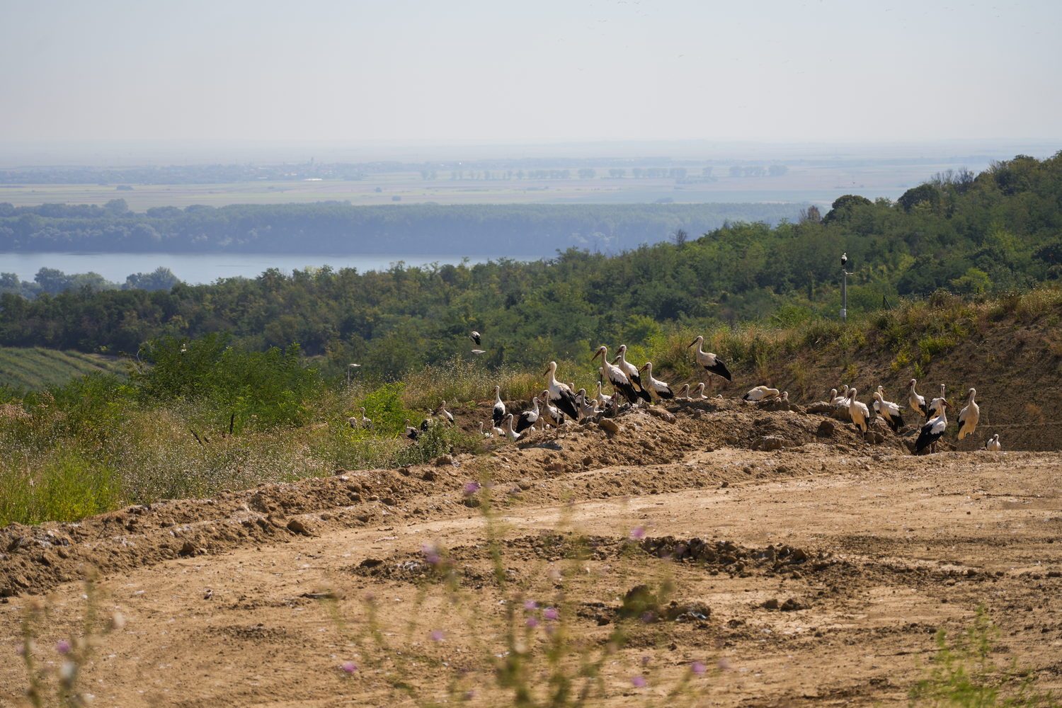 24 new landfill
